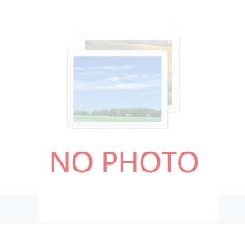 2030年我國工程機械行業(yè)會面臨哪些機遇和挑戰(zhàn)？